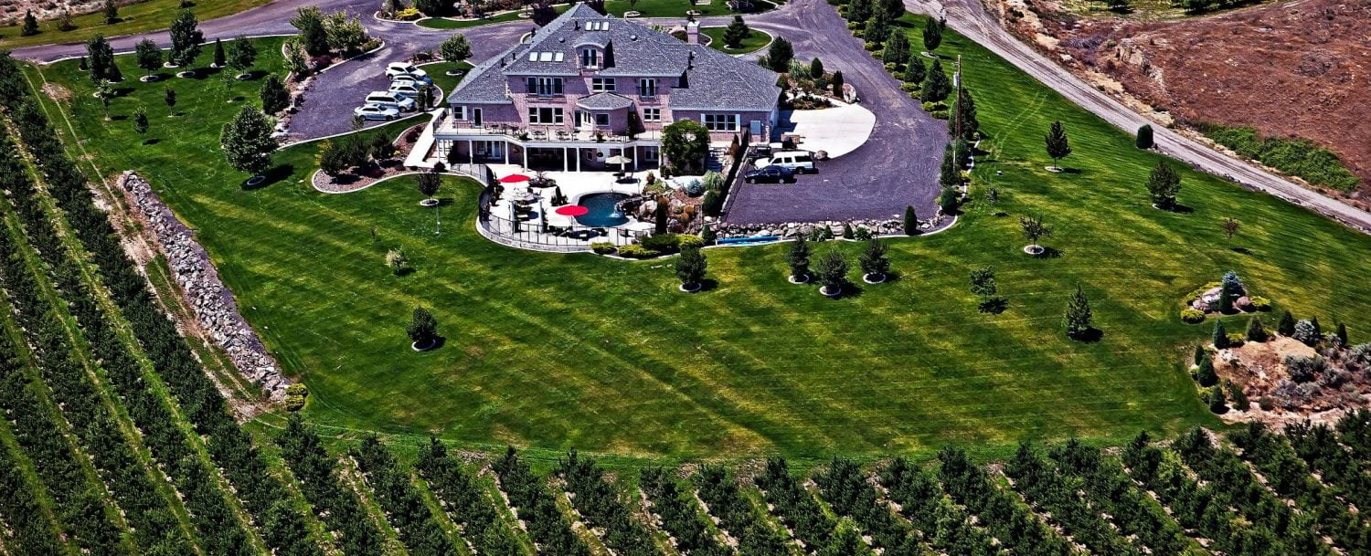 Aerial view of Mansion and orchard (1)