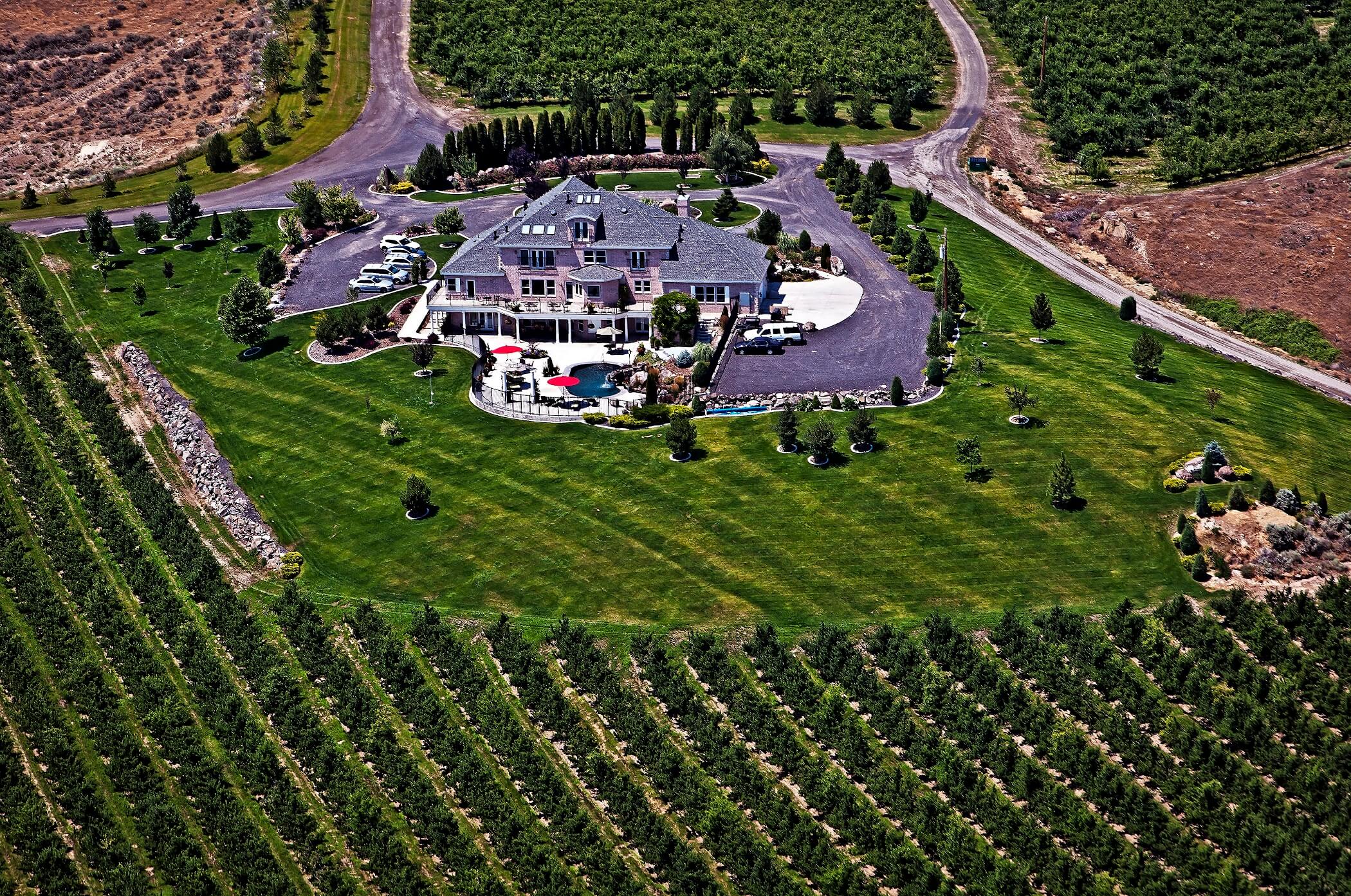 Aerial view of Mansion and orchard (1)