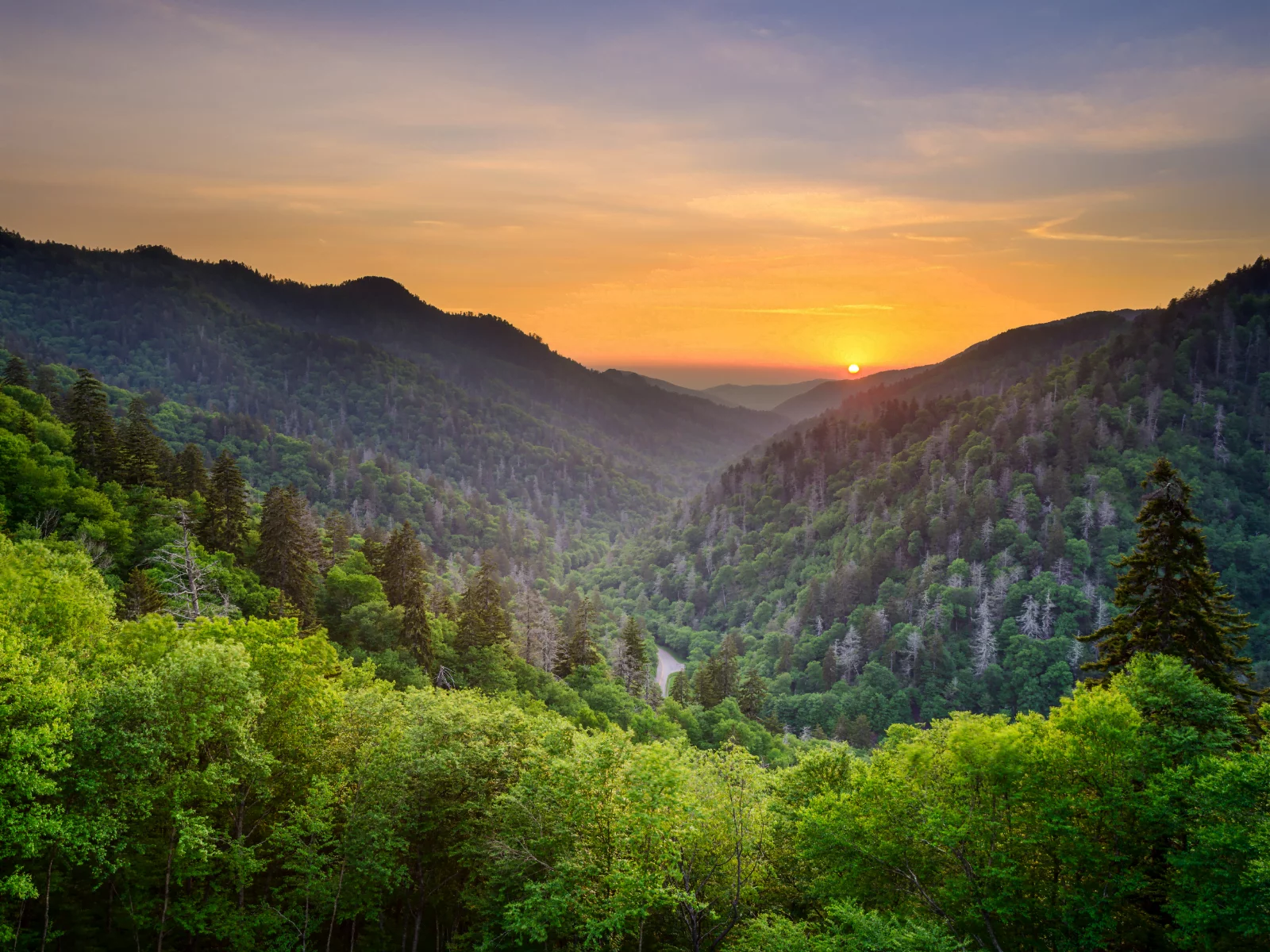 3 of the Best Sightseeing Tours in Gatlinburg, TN You Have to Try