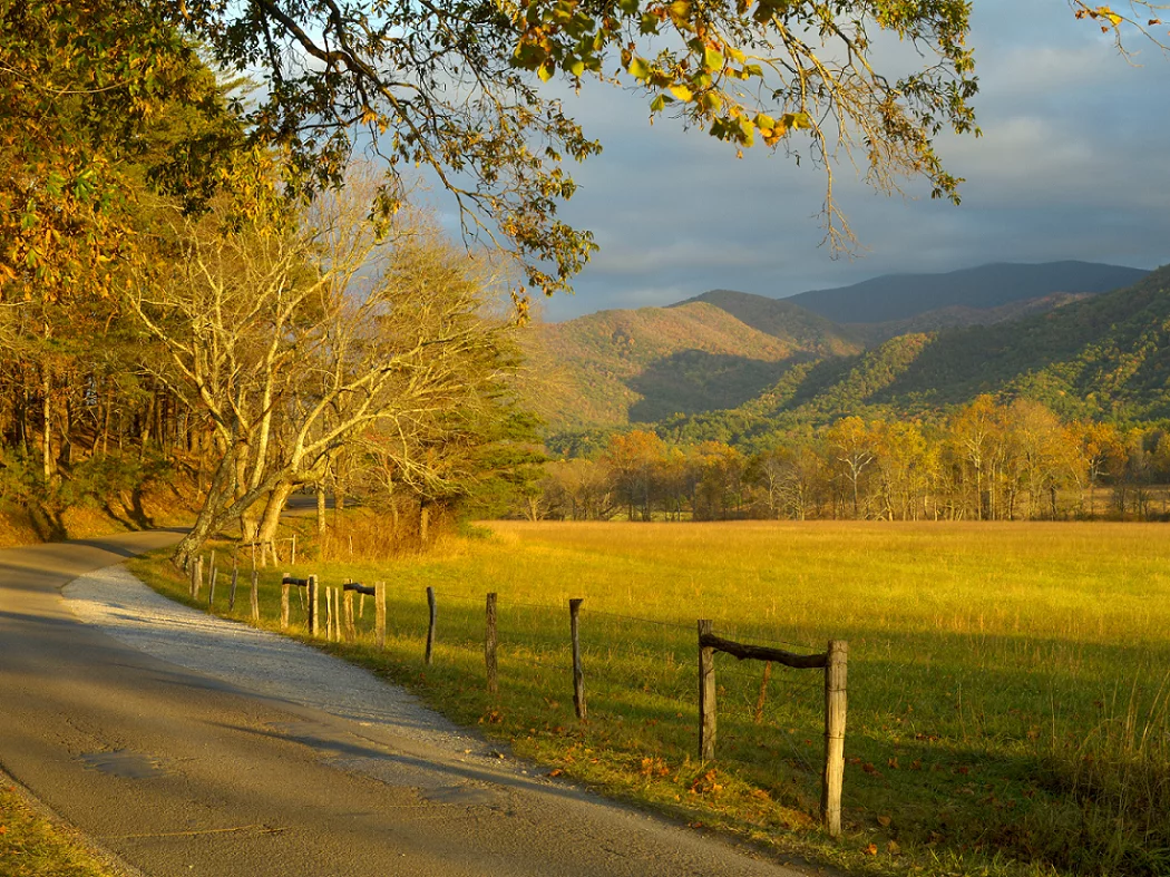 things to do in in the Smoky Mountains