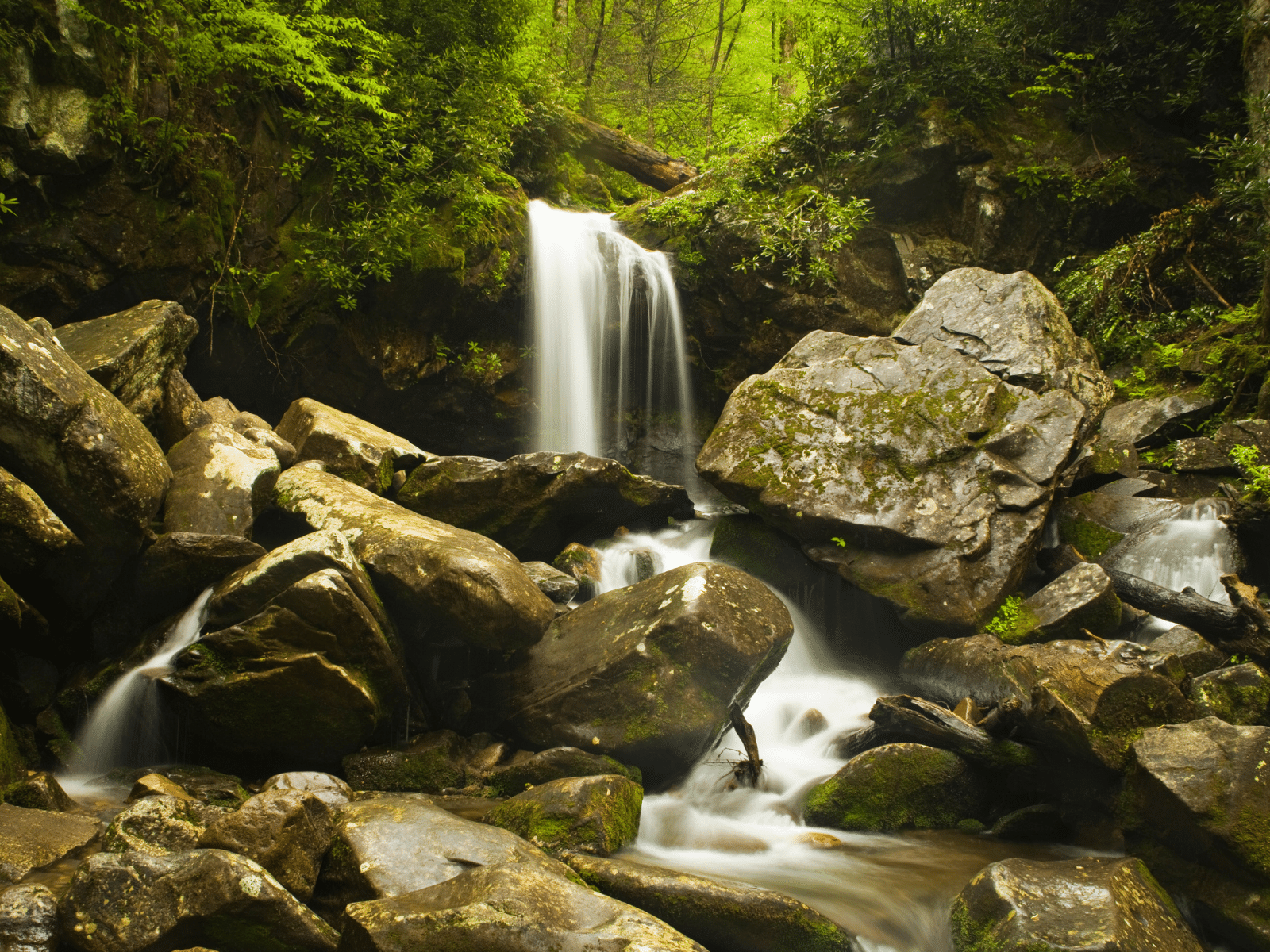 3 Incredible Gatlinburg Waterfalls to See on Your Next Hike in the Great Smoky Mountains