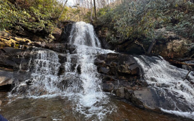 Laurel Falls – an Easy Smoky Mountain Trail with Fabulous Views