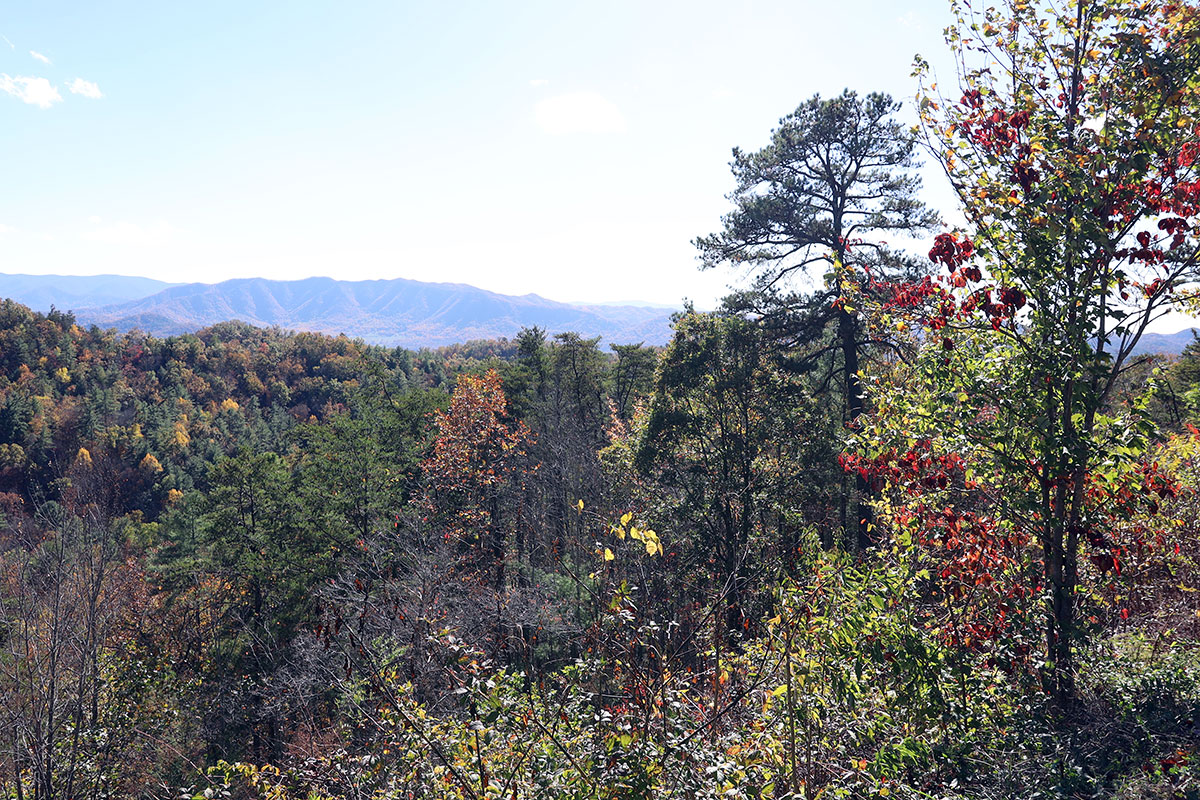 View from Foothills Parkway