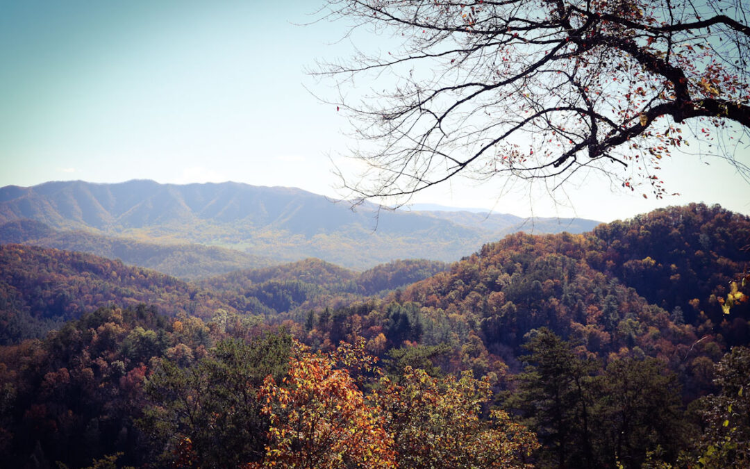 Great Smoky Mountains