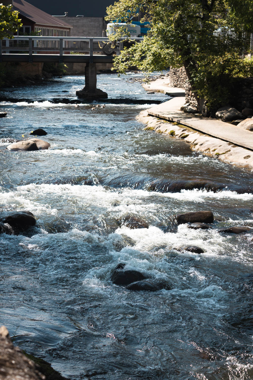 Little Pigeon River