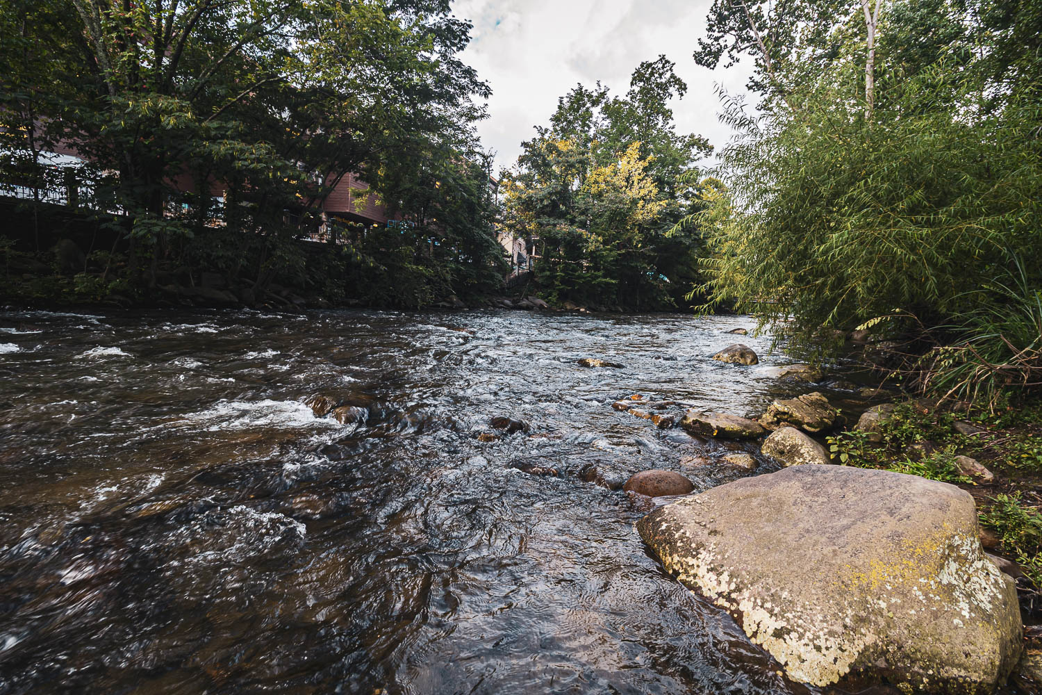 Little Pigeon River