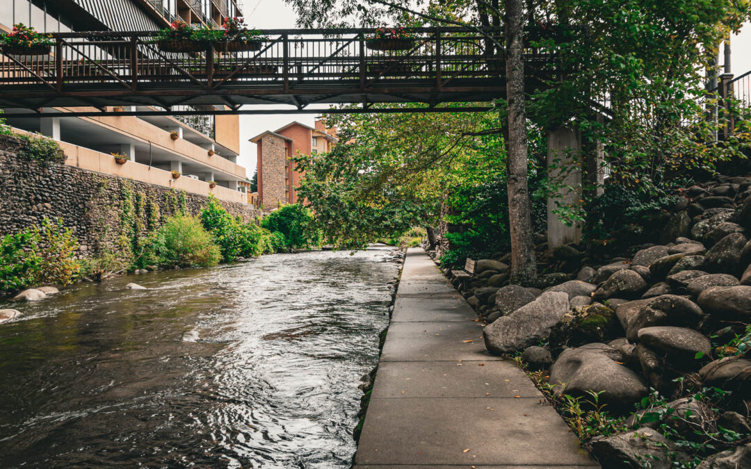 The Little Pigeon River: A Gatlinburg Treasure Right Outside Our Door