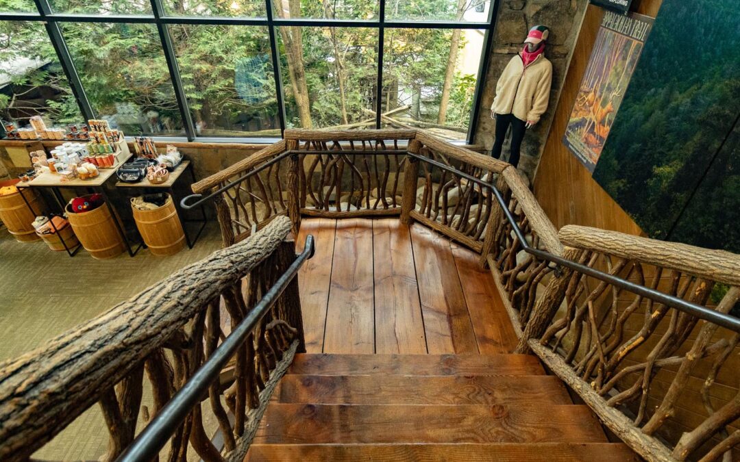 A Stroll to Adventure: Discovering NOC Gatlinburg