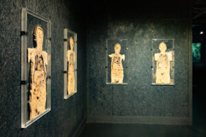 Bodies human exhibit