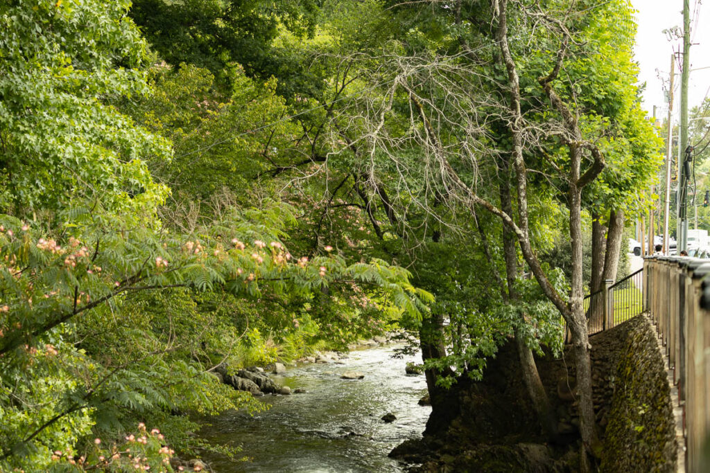 The Little Pigeon River