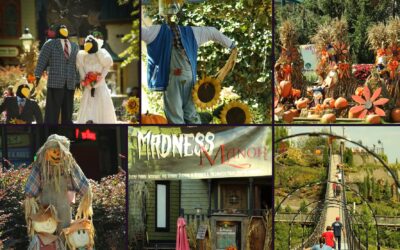 Halloween in Gatlinburg: A Family-Friendly Guide from Edgewater Hotel